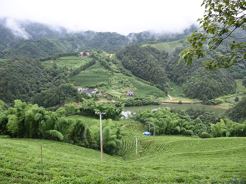 城东基地照片-12