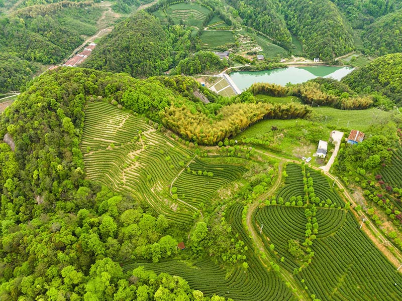 城东基地照片-10