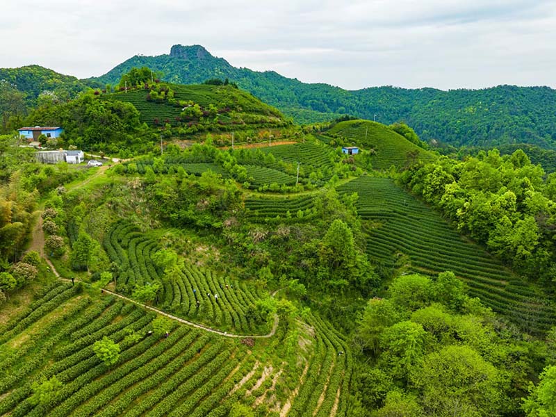 城东基地照片-07