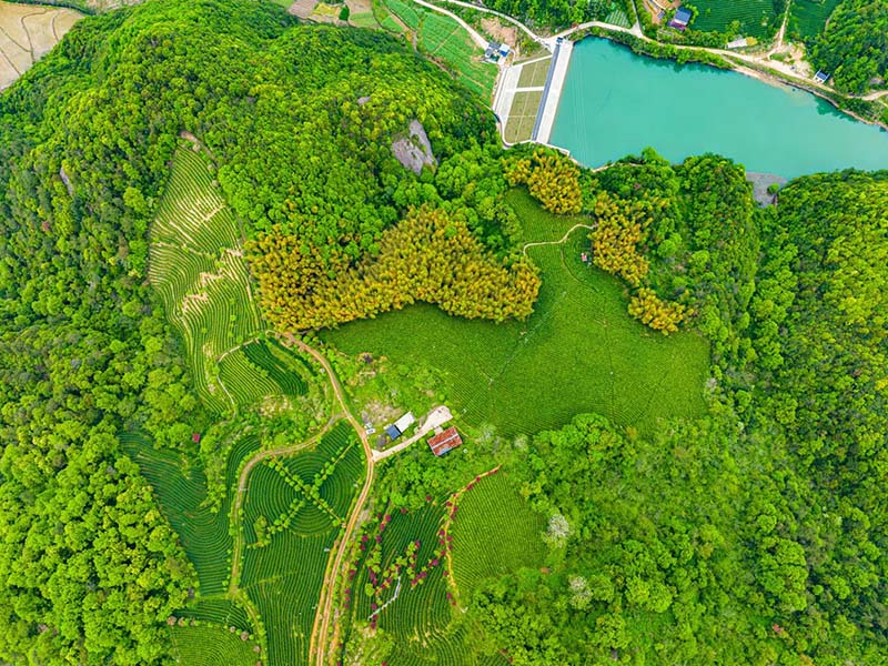城东基地照片-09