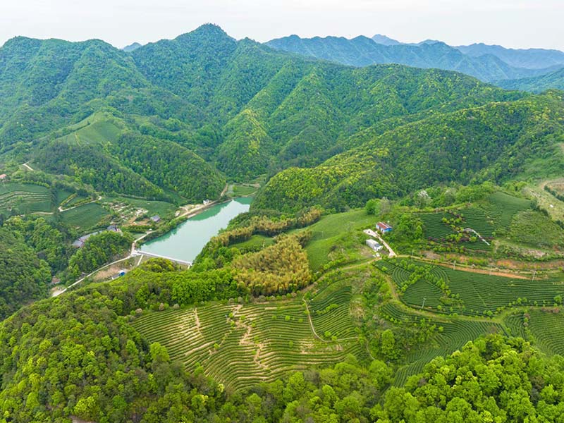 城东基地照片-02