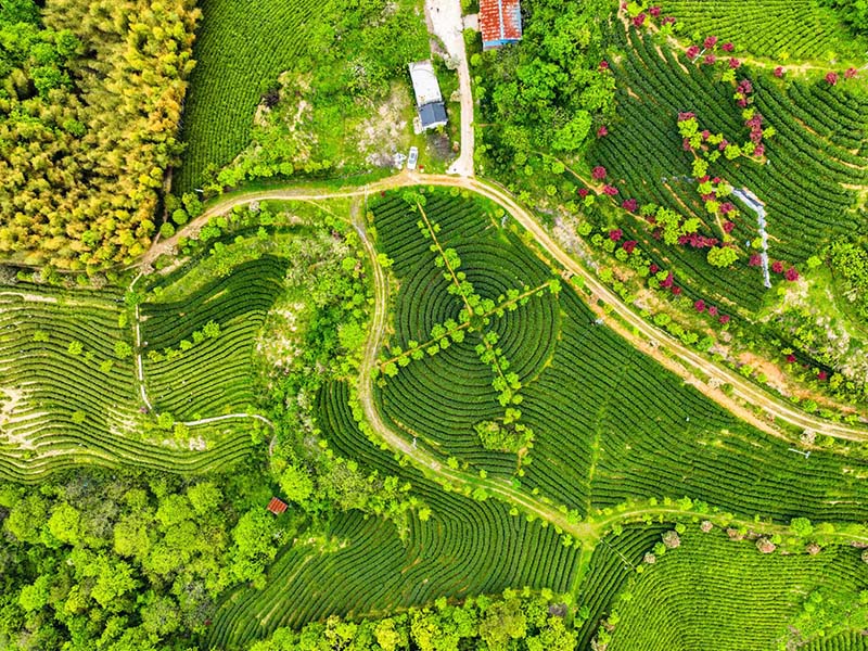 城东基地照片-03